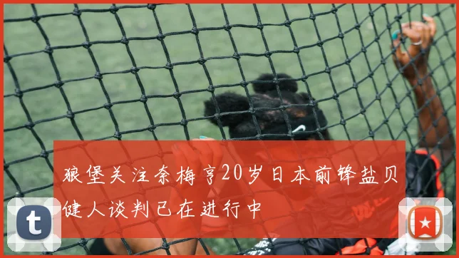 狼堡关注奈梅亨20岁日本前锋盐贝健人谈判已在进行中