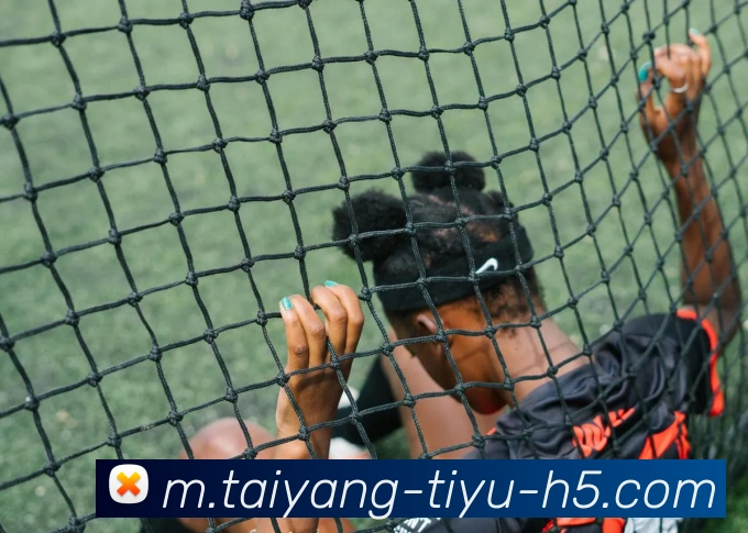 太阳城平台生态图