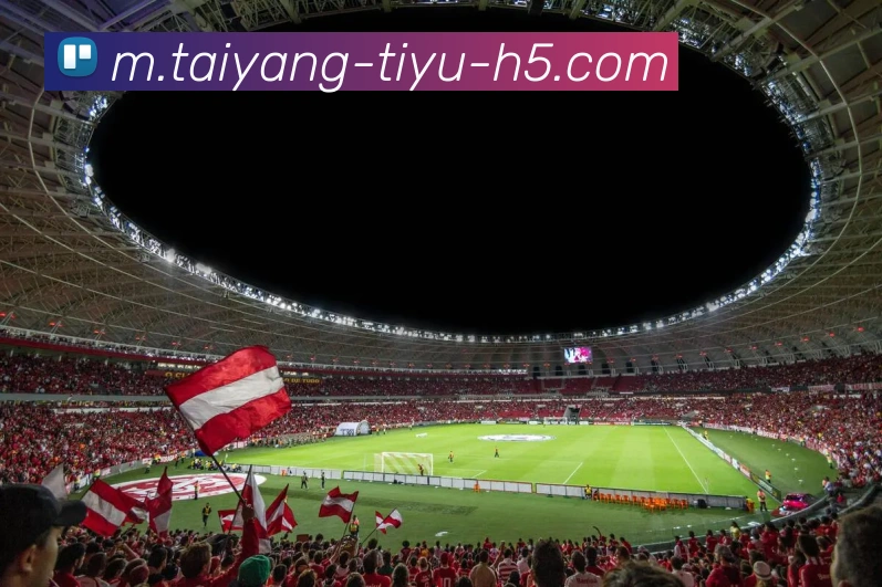 太阳城APP 封面图